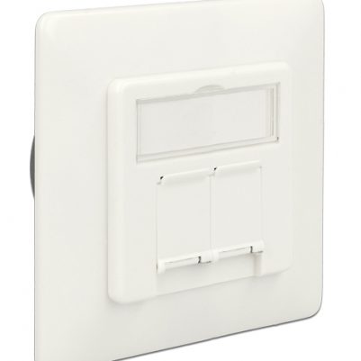 DELOCK Modular Wall Outlet Δικτύου, Cat.6A, 2x LSA, 2 Port