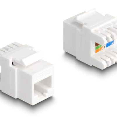 DELOCK keystone module RJ45 σε LSA Cat.6A 88131, toolfree, λευκό