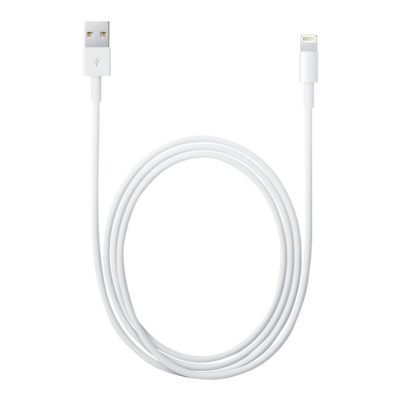 APPLE USB 2.0 TO LIGHTNING MD819ZM/A A1510 USB ΦΟΡΤΙΣΗΣ-DATA 2m WHITE BULK OR