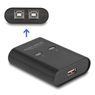 DELOCK USB Type B switch 11503, 2 σε 1, μαύρο