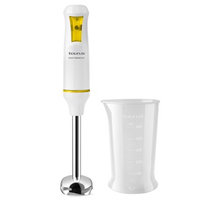 Hand blender Robot 600W Easy Inox