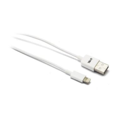 Charge & Sync cable Lightning 1 mt white